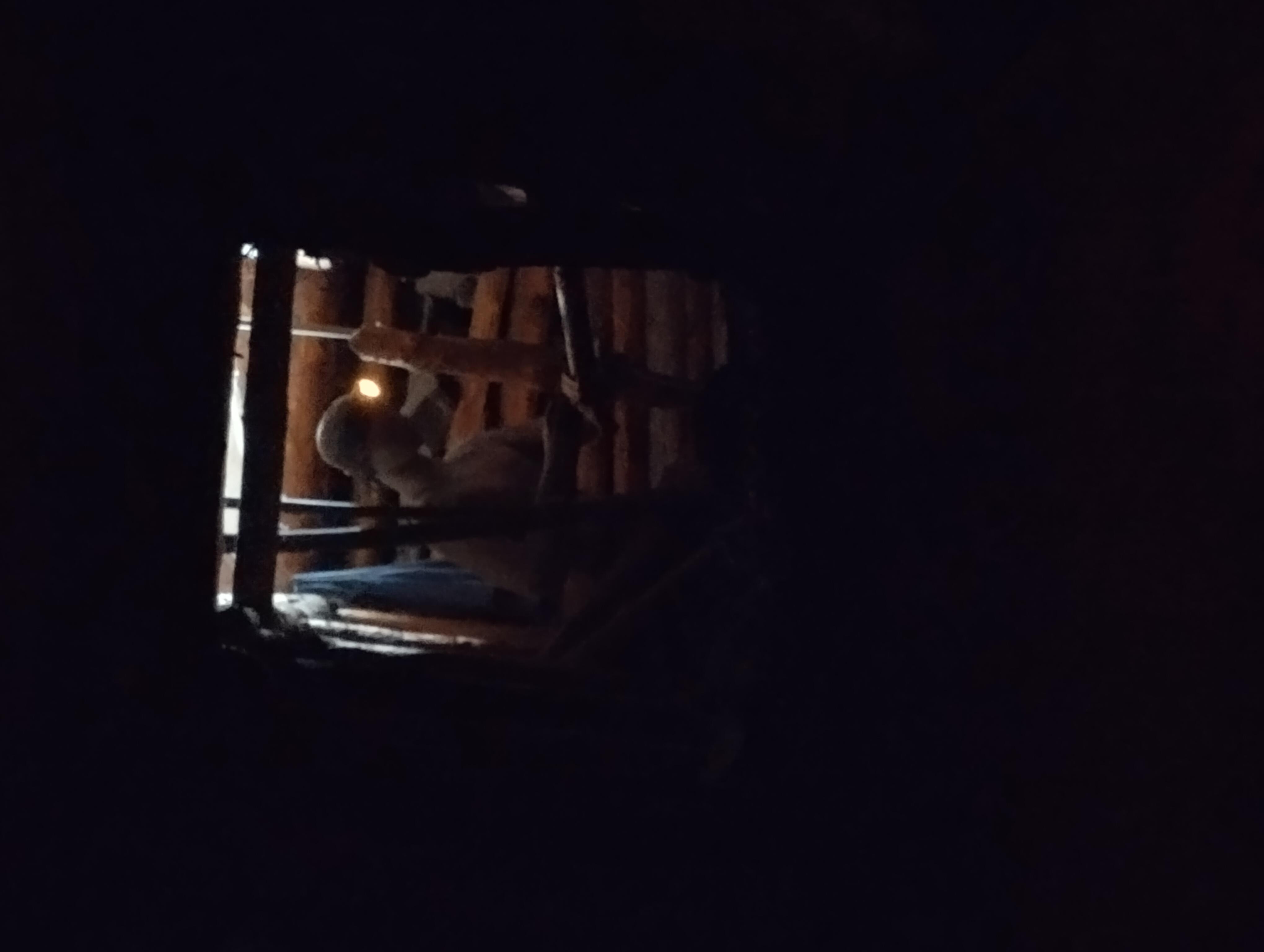 Brassac
